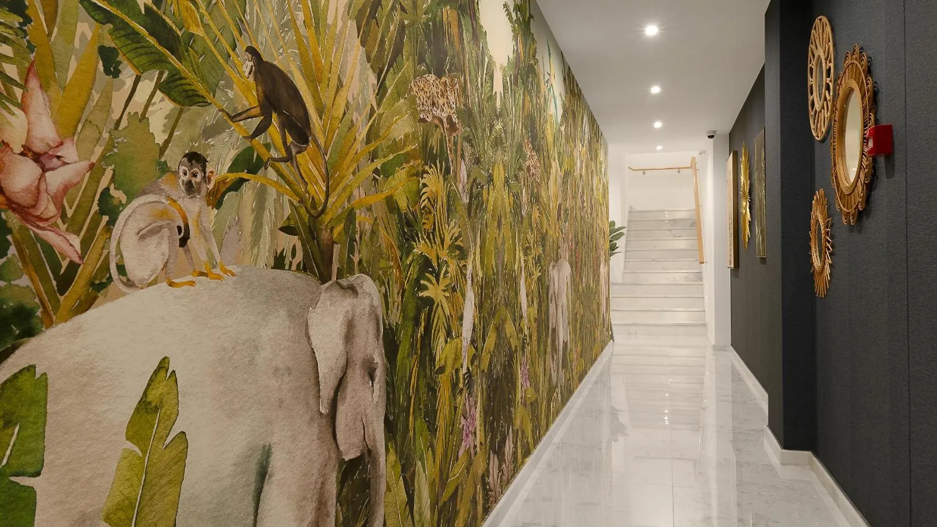 Safira Suites 102 Funchal  Portugalsko